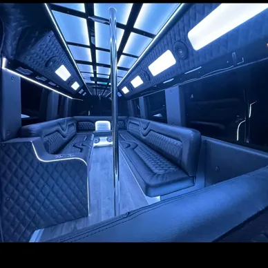 Black Diamond | Party Splinter