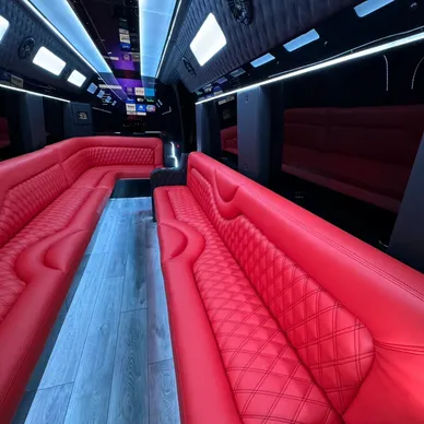 Black Diamond | Party Splinter